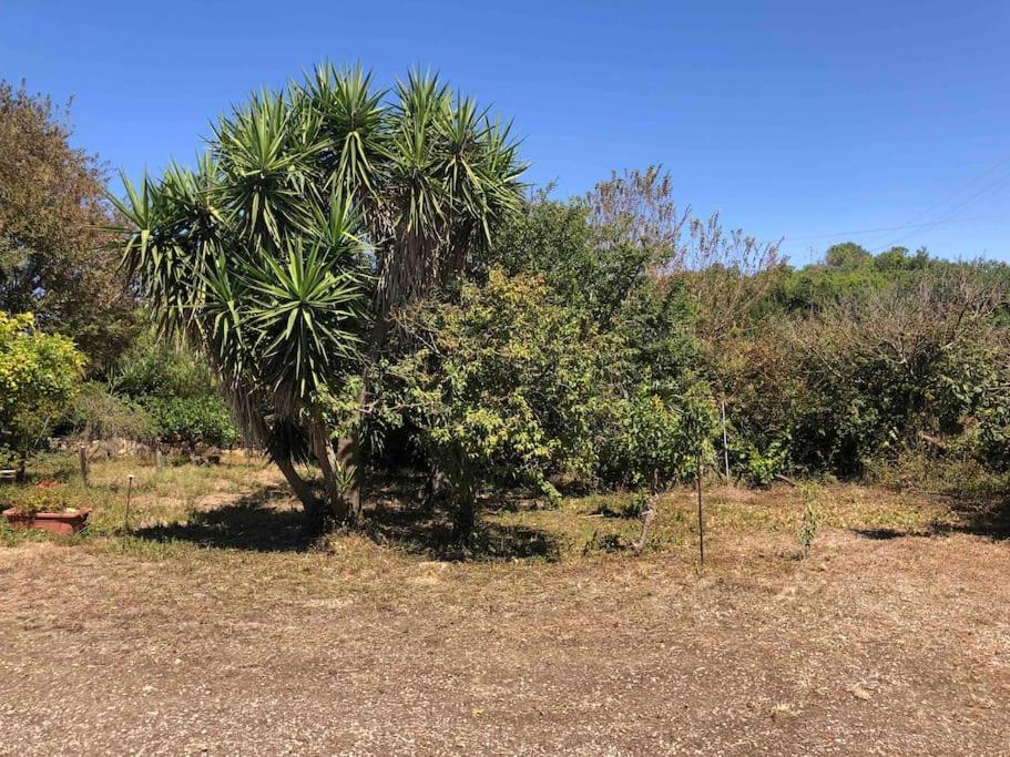 Casa Indipendente I Due Mari Villa Porto Torres Exteriör bild